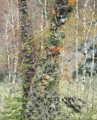102