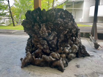 046　彫刻の森美術館奨励賞　友國　華［大阪］.psd
